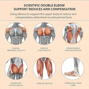 Craftyfox Elbow Support Automatic Rebound Abdominal Wheel，Ab Roller for Abdominal Exercise Machine，Abs Workout Equipment，Dolly Core Strengthening Trainer Fitness Belly Training - Image 3